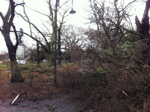 Tree damage by the war memorial in Wanstead High Street by Scott Whitehead