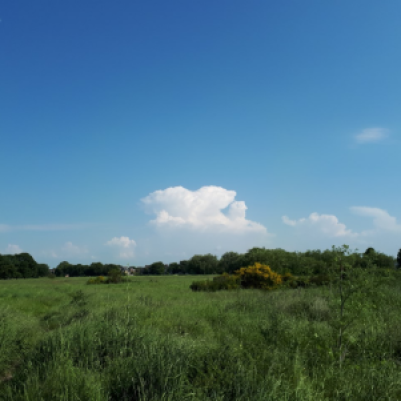 Convective clouds build over Wanstead Flats